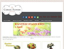 Tablet Screenshot of carraigflowers.ie